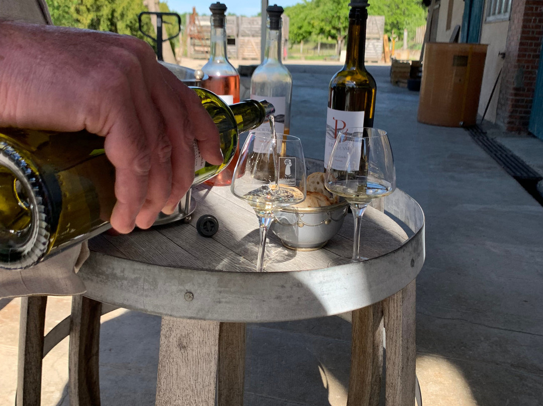 Fine Wine Tours-马扎梅必去景点