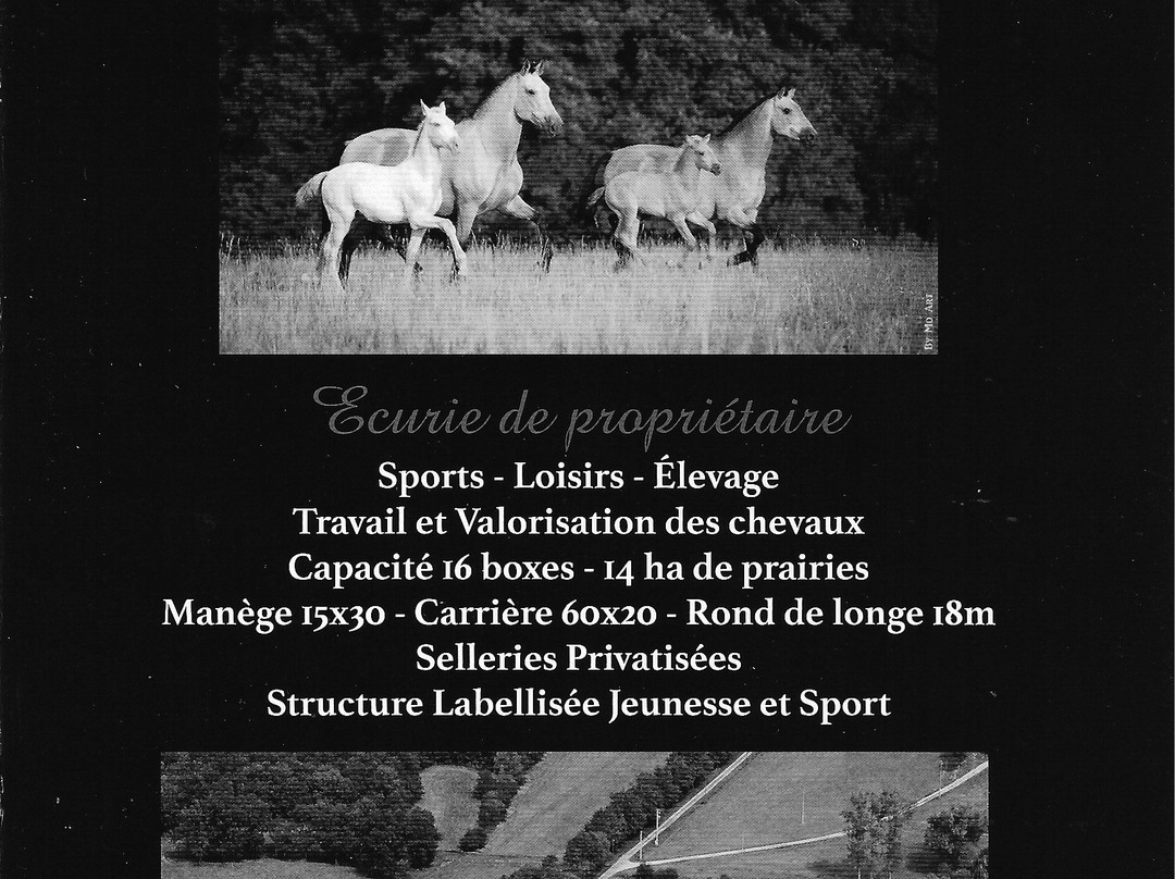 Domaine Equestre Del Tessuor-Lisle-sur-Tarn必去景点