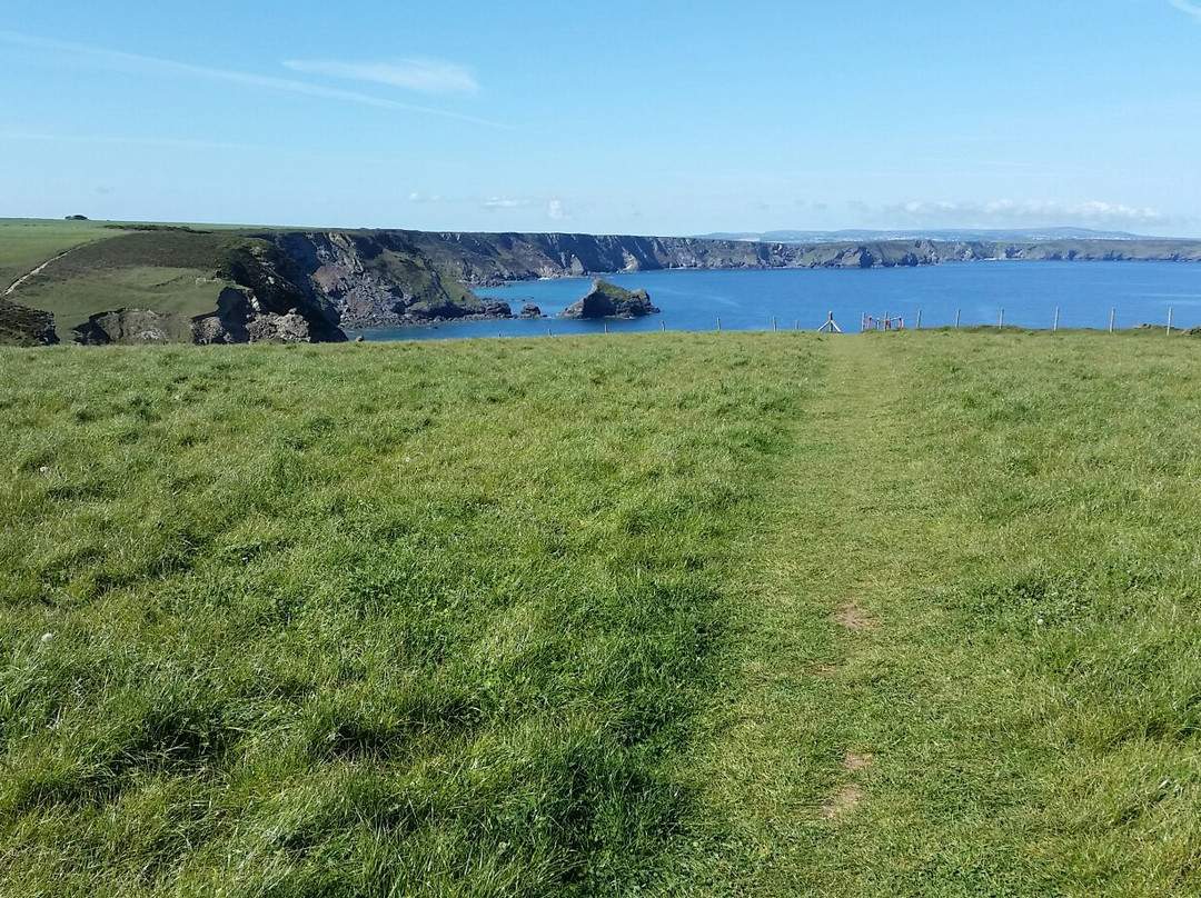Bassetts Cove-Portreath必去景点