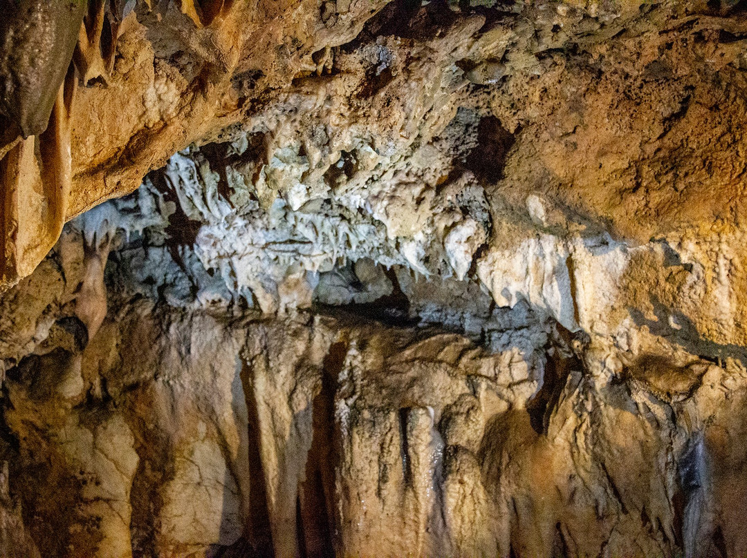 Biserujka Cave景点图片
