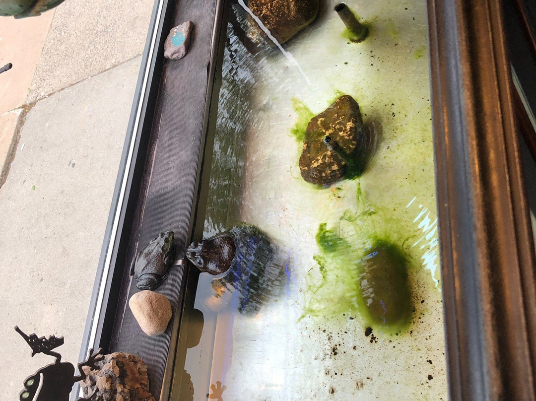 Neumann's-North Saint Paul必去景点