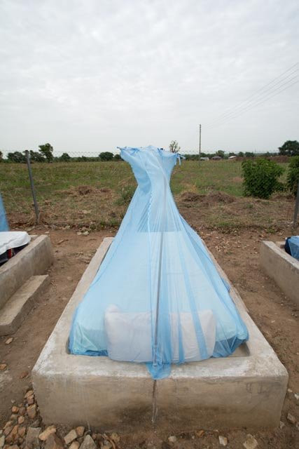 Wechiau Community Hippo Sanctuary-Wa必去景点