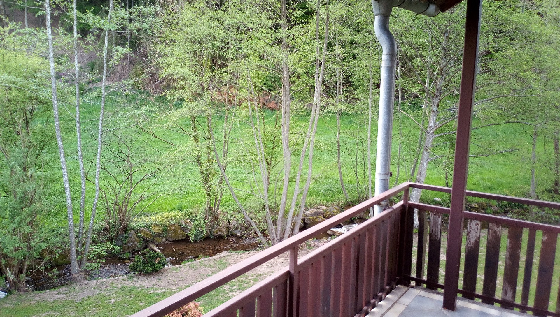 Gasthof Pension Krone-酒店景观