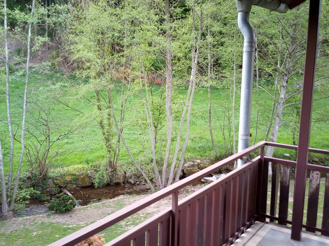 Gasthof Pension Krone主图