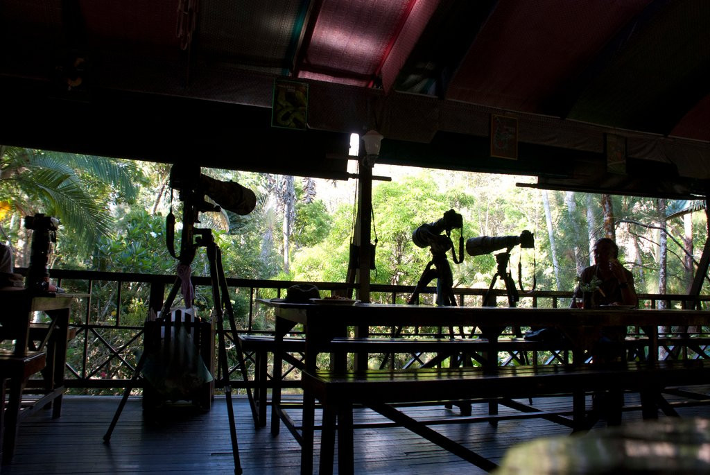 西必洛森林度假村主图