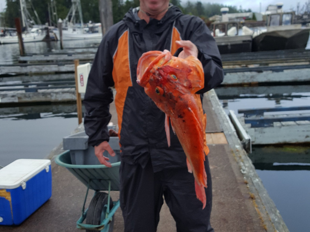 Fish Harder Charters-哈迪港必去景点