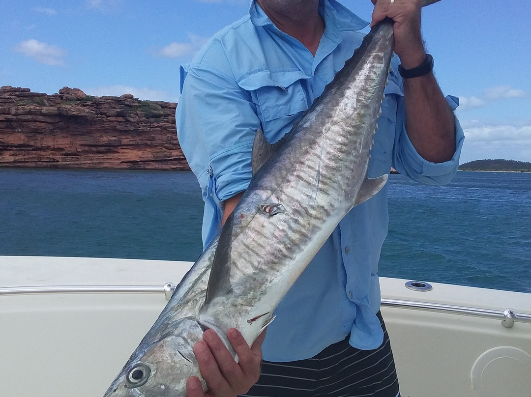 Groote Eylandt Sports Fishing-Alyangula必去景点