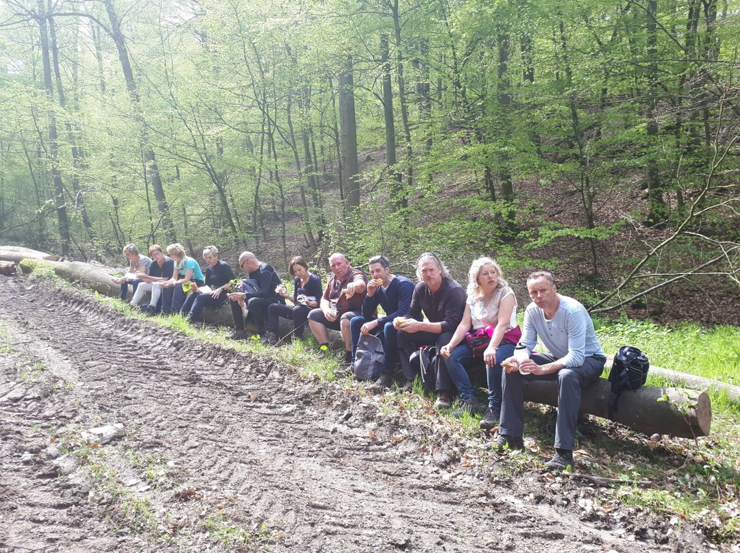 Landgasthof Zur Post主图