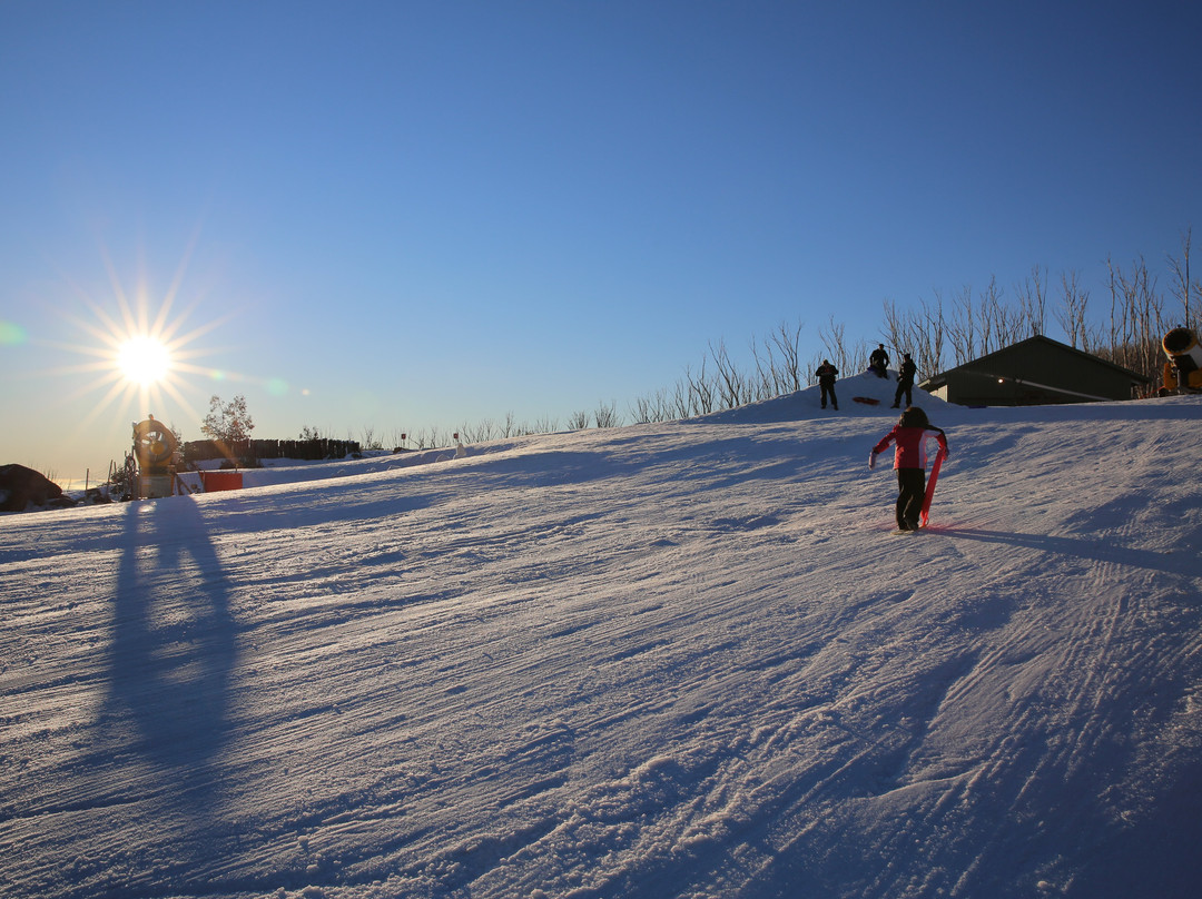 White Manor Motel主图