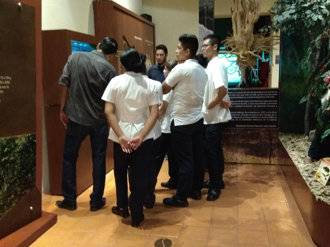 Museo del Café de Chiapas-图斯特拉古铁雷斯必去景点