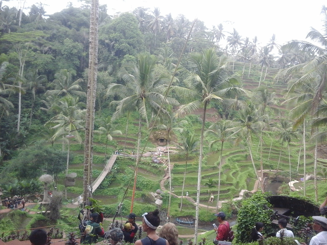 Ketut Bali Drivers-登巴萨必去景点