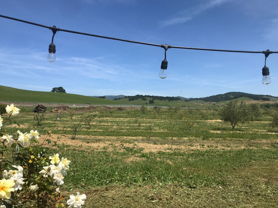 Il Fiorello Olive Oil Company-费尔菲尔德必去景点