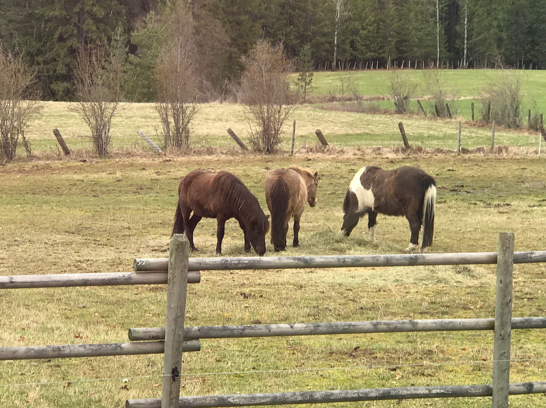 Brouse Creek B&b主图