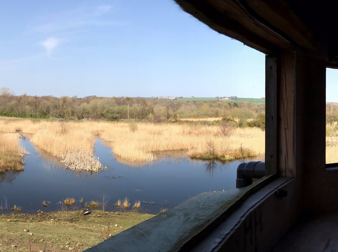 Low Barns Nature Reserve & Visitor Centre景点图片