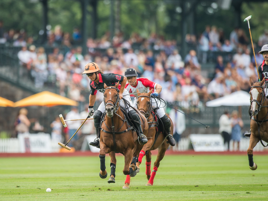 Greenwich Polo Club-格林尼治必去景点