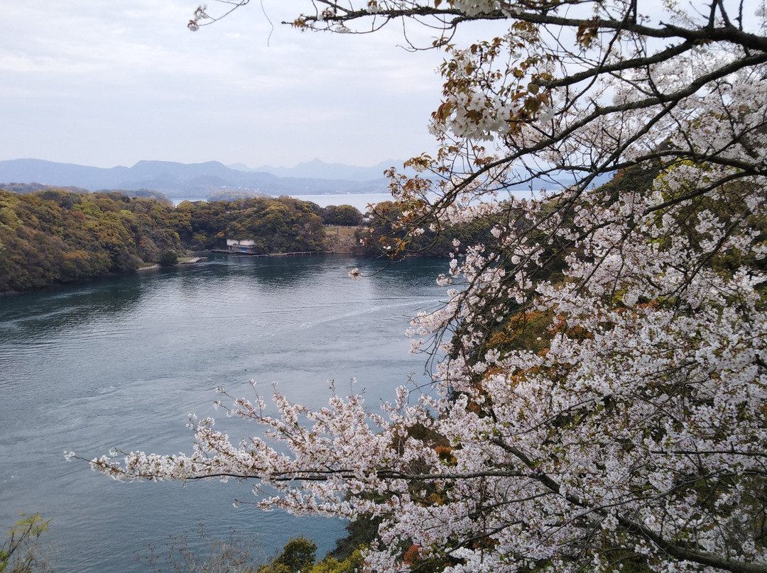 Nagasaki Prefectural Saikaibashi Park景点图片