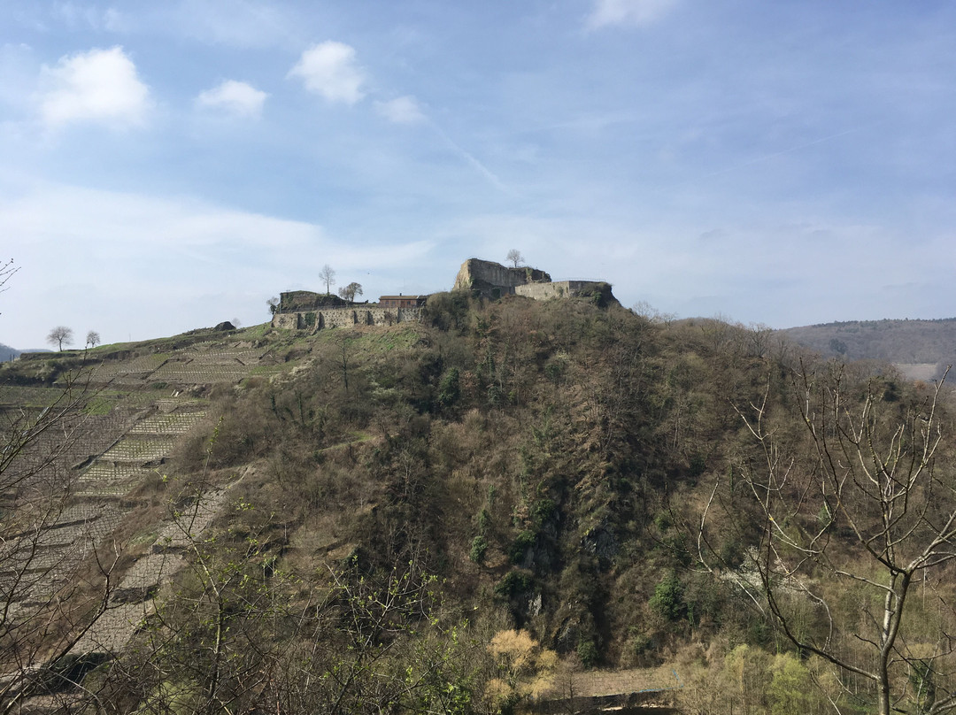 Lind旅游攻略图片