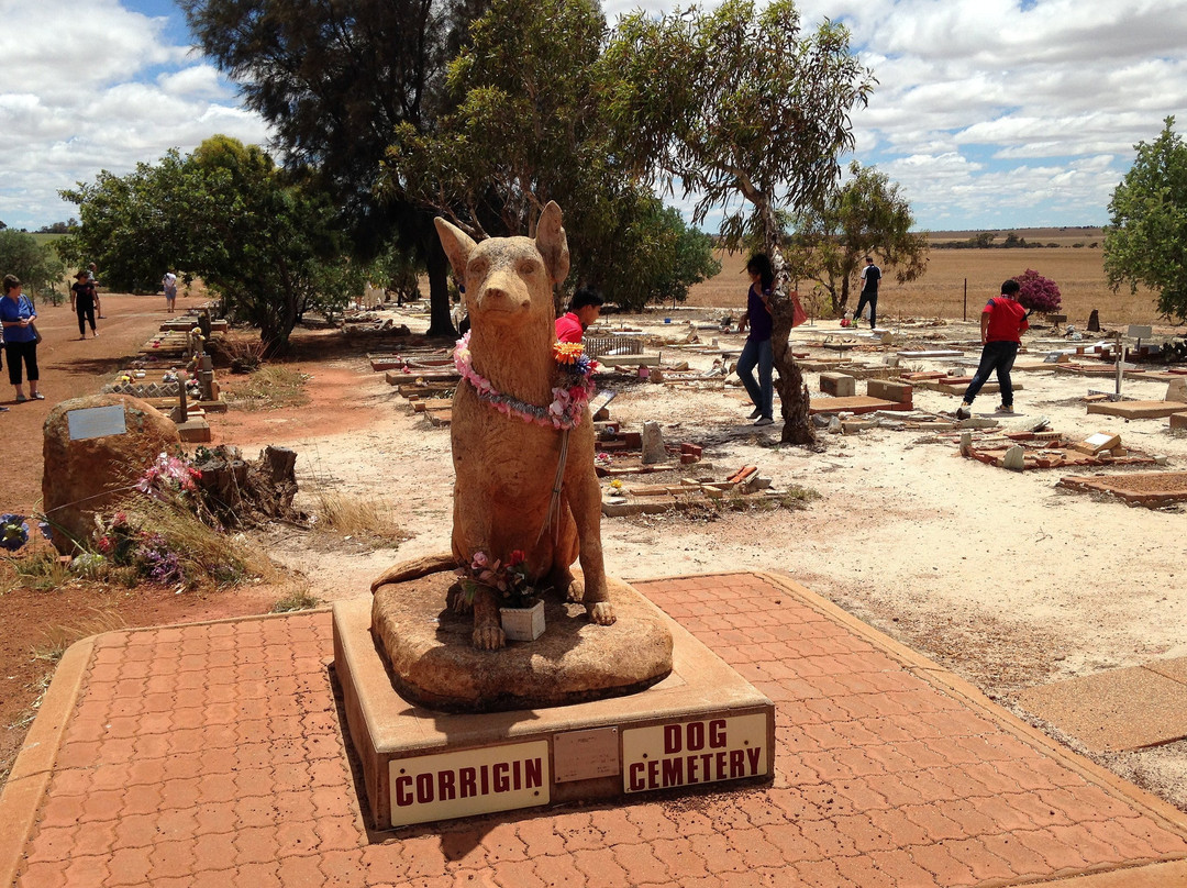 Corrigin Dog Cemetery景点图片