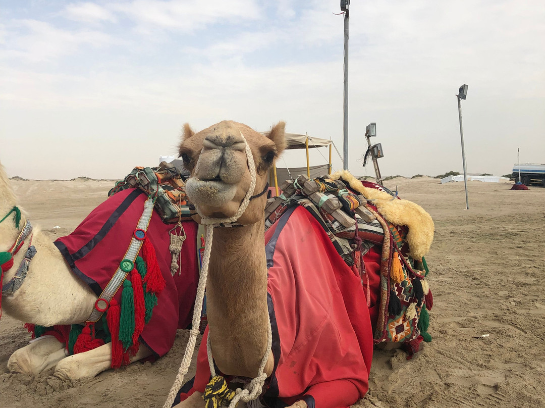 OceanAir Travels Doha-多哈必去景点