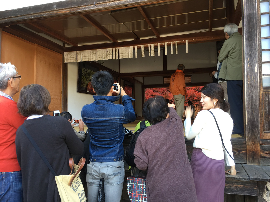 Ankokuji Temple-丰冈市必去景点