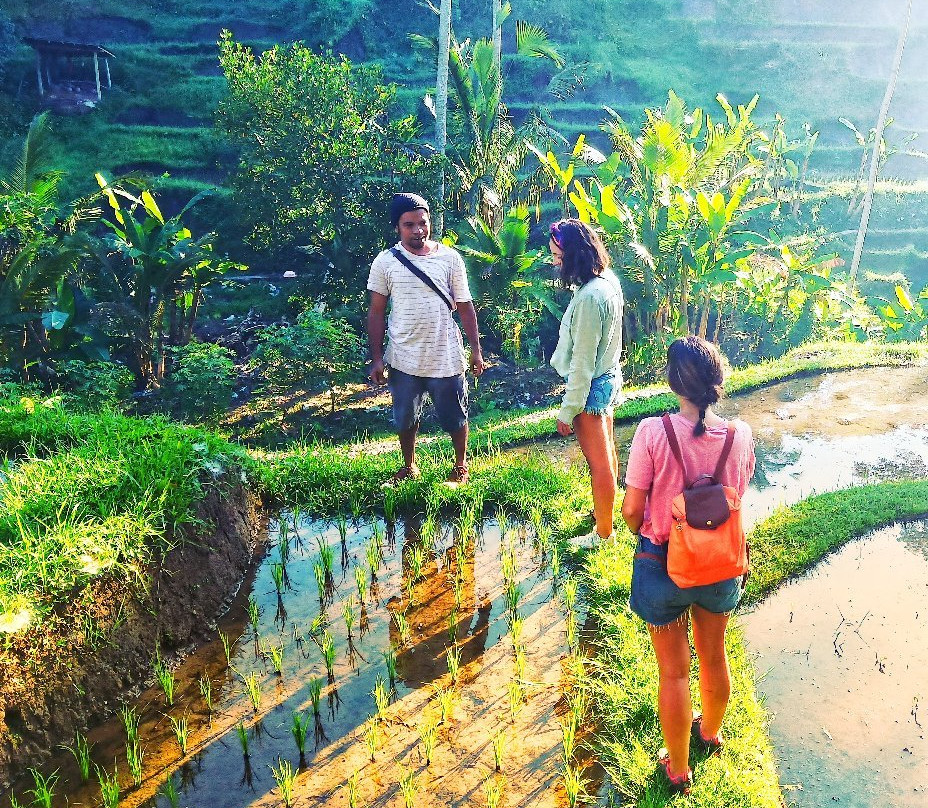 Experience Real Bali-乌布必去景点