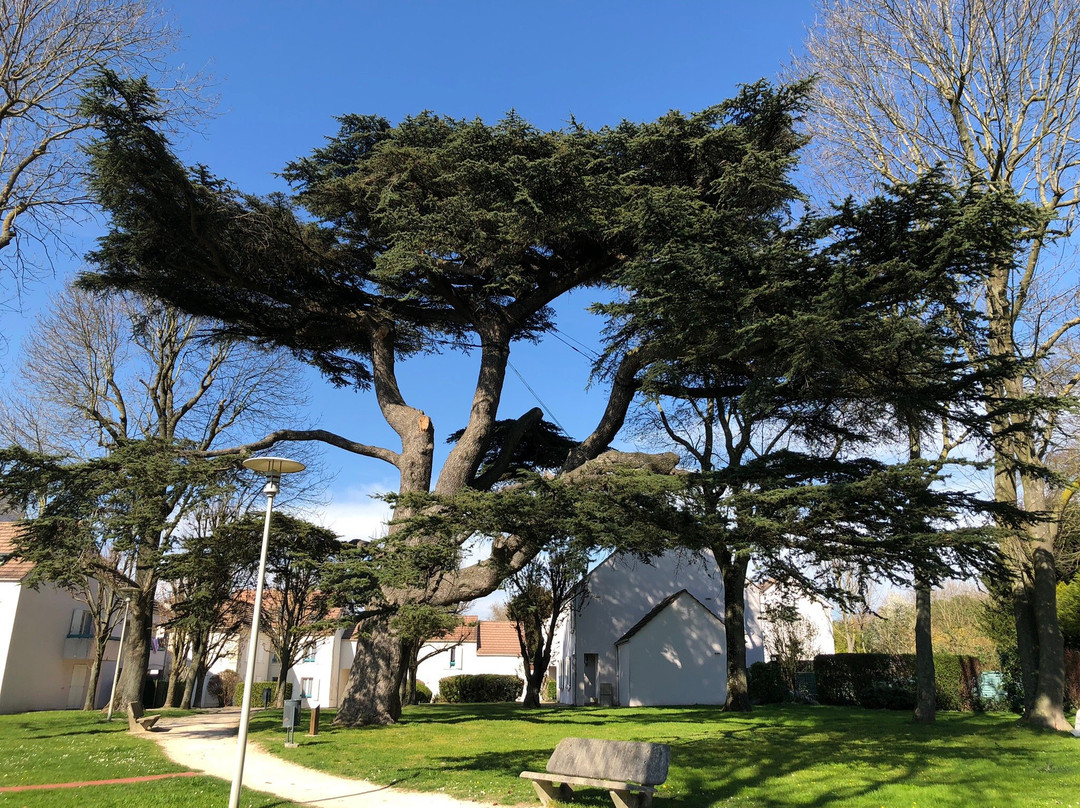 Parc du Cèdre-鲁瓦西必去景点