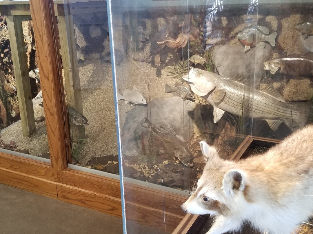 Cullman County Museum景点图片