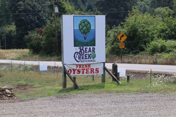 Bear Creek Artichokes-蒂拉穆克必去景点