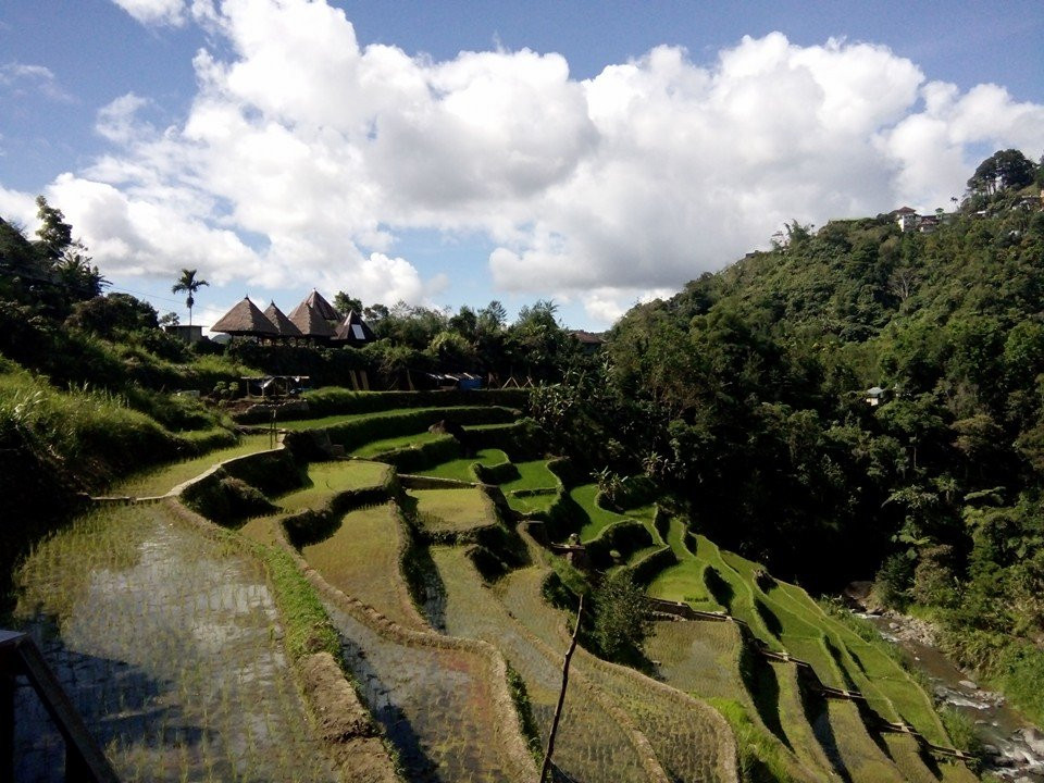 Banaue旅游攻略图片