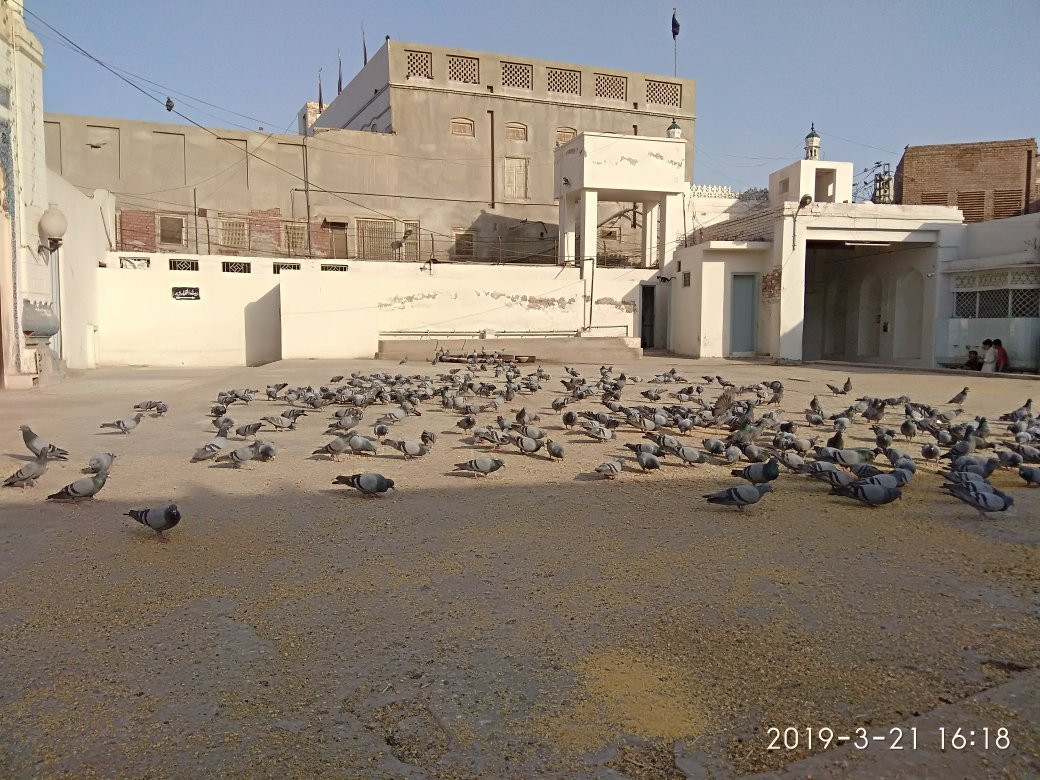 Shrine of Shah Yusuf Gardezi-Multan必去景点