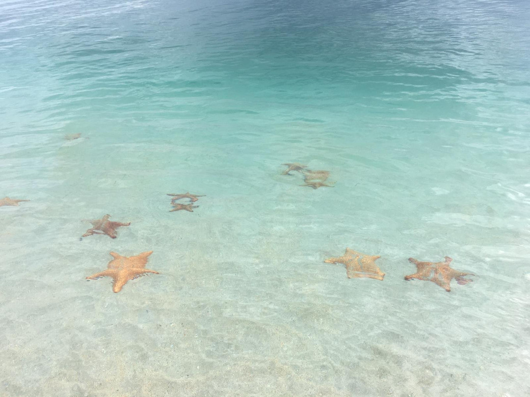 Starfish Beach景点图片