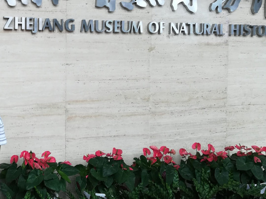 浙江自然博物馆-杭州市必去景点