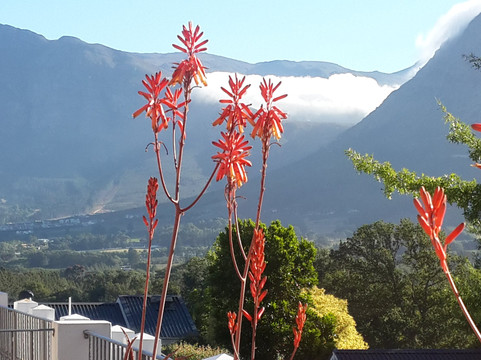弗朗斯胡克温泉酒店-梦想度假村主图