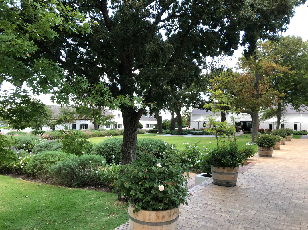 Catherina's-康士坦提亚必去景点