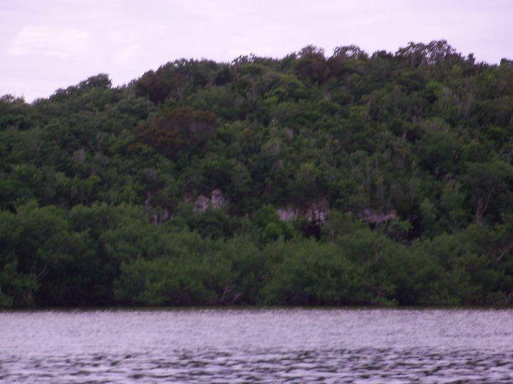 Moore's Island景点图片