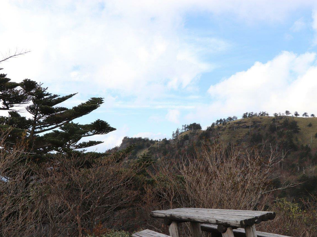 UFO Line-伊野町必去景点