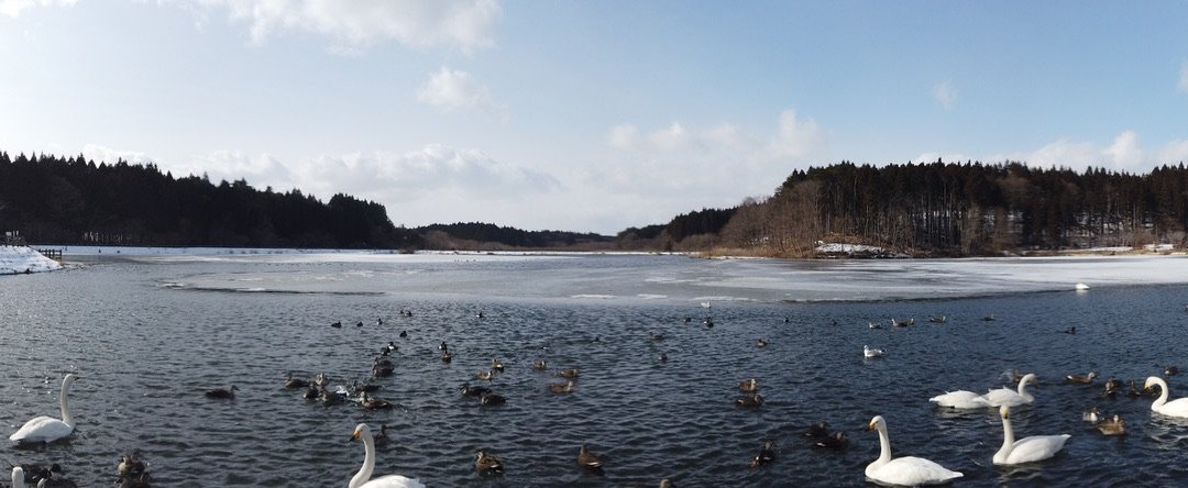 Oirase Town Nature Center Swan House景点图片