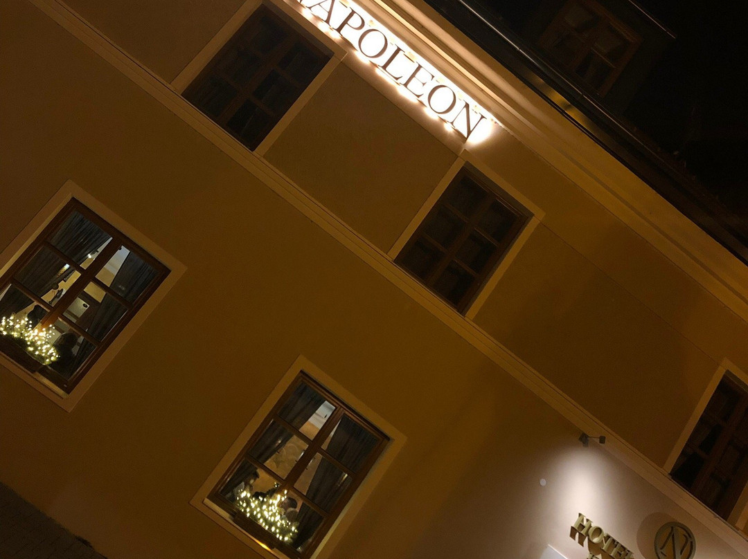 Hotel Napoleon主图