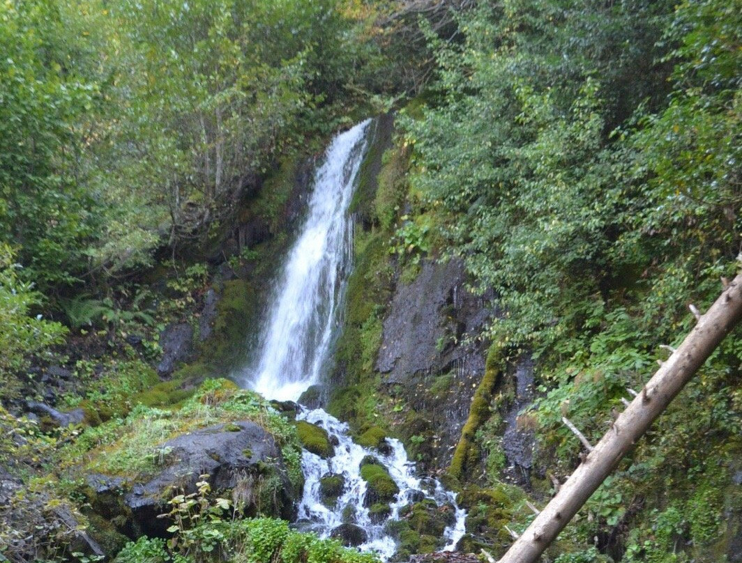 Waterfall Ptichiy Klyuv-Gagra必去景点