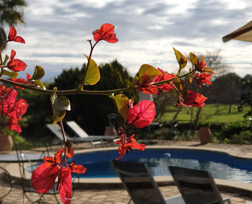 Agroturismo Na Set Centes主图