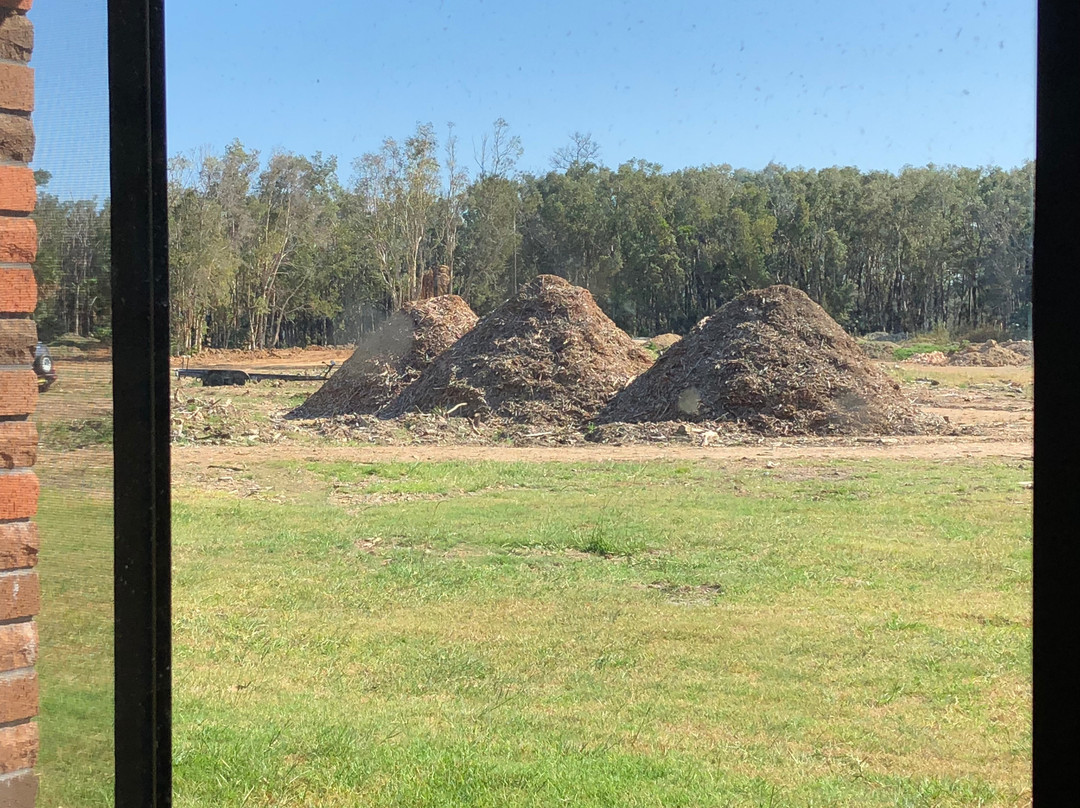 棕榈岛汽车旅馆主图