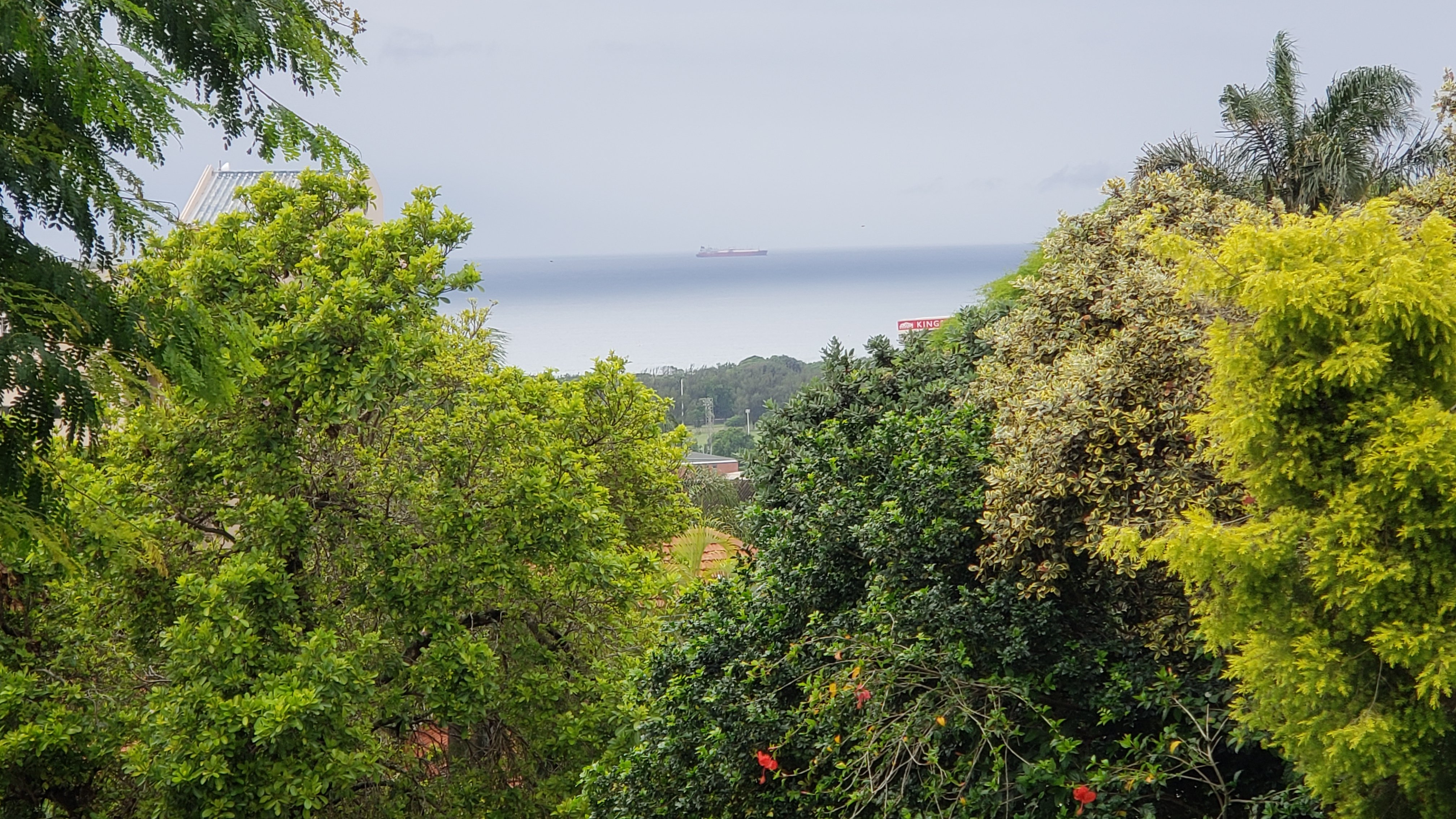 Goble Palms Guest Lodge & Urban Retreat-泳池