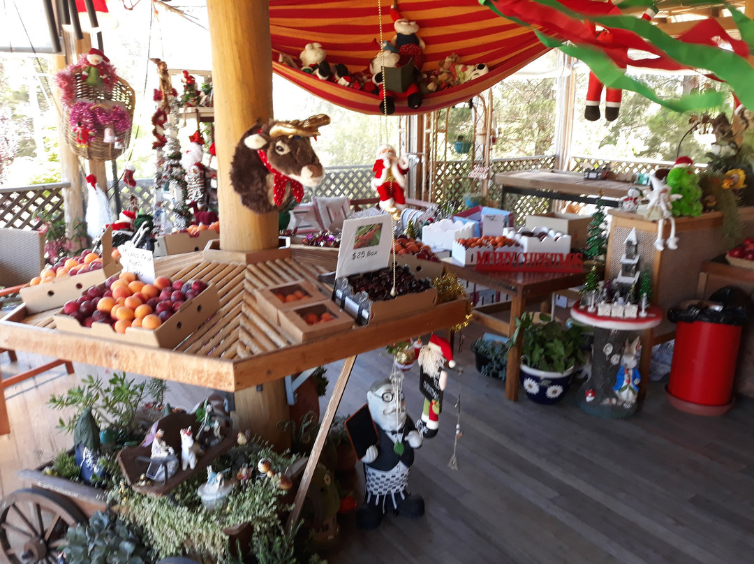 Cherrydale Orchard-坦特菲尔德必去景点