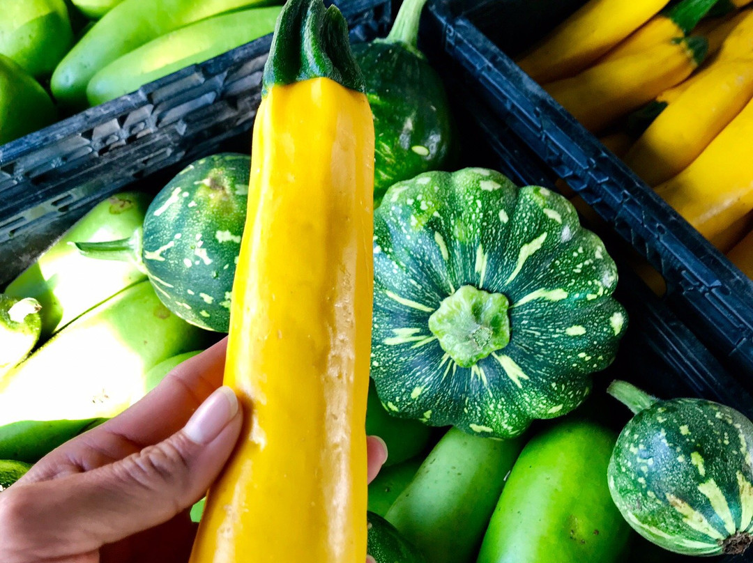 Laguna Niguel Farmer’s Market-拉古纳尼格必去景点