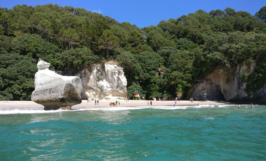 Sea Cave Adventures景点图片