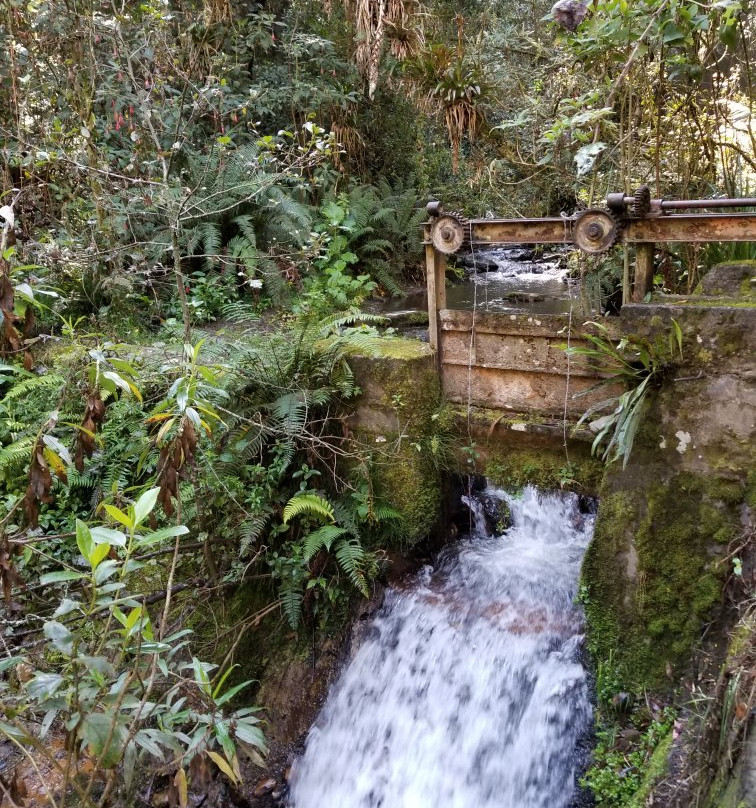 Sendero Ecologico San Francisco-波哥大必去景点