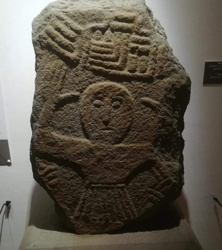 Swansea Museum景点图片