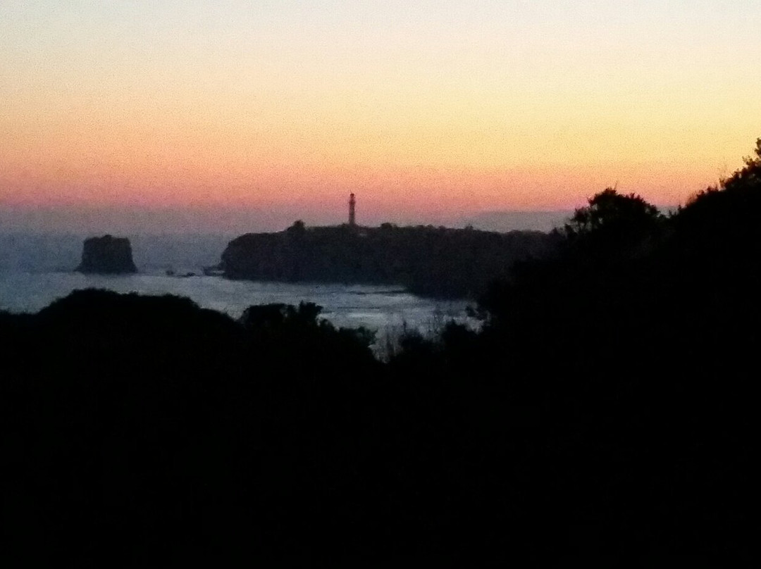 Fitzpatrick Seat-Aireys Inlet必去景点