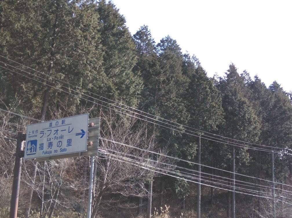 Michi-no-Eki - Kamiyahagi LA FORET Fukuju Village景点图片