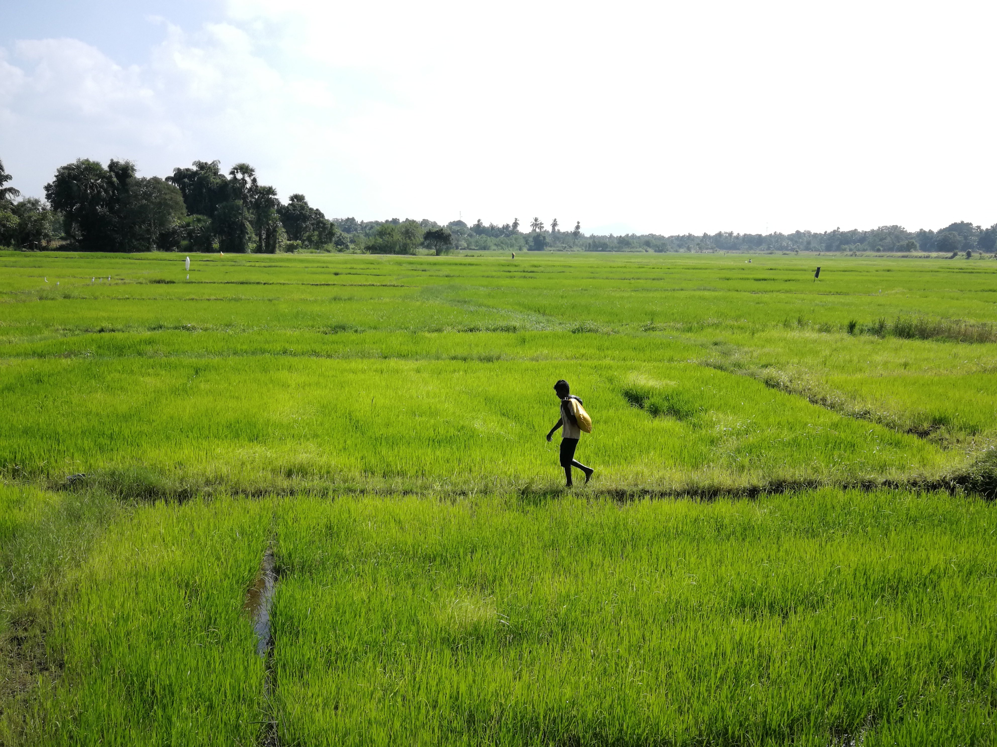 Sunshine Tourist Rest-酒店景观